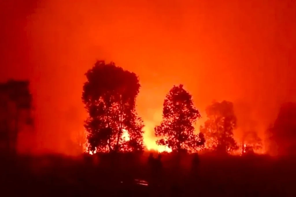Way Kambas Membara! Ratusan Hektare Hutan Terbakar, Diduga Sengaja Dibakar