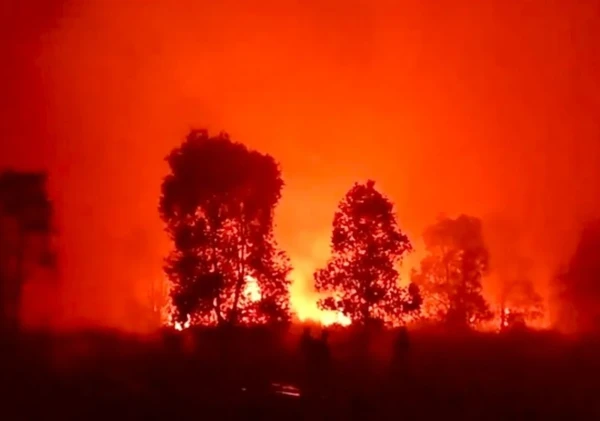 Way Kambas Membara! Ratusan Hektare Hutan Terbakar, Diduga Sengaja Dibakar