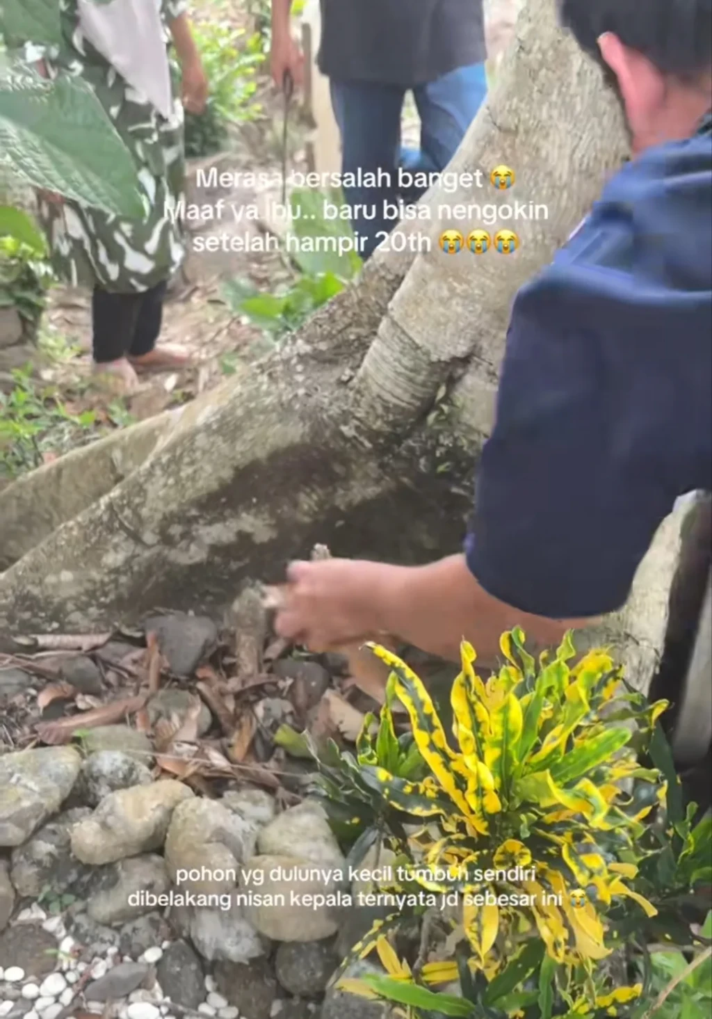 Kisah Pilu, Tangis Tania 20 Tahun Tak Ziarah, Makam Ibu Kini Tertutup Pohon Besar