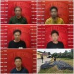 Aksi Rapi Berkedok Bongkar Muat, 5 Pencuri Besi Ulir Rp135 Juta Dibekuk Polisi