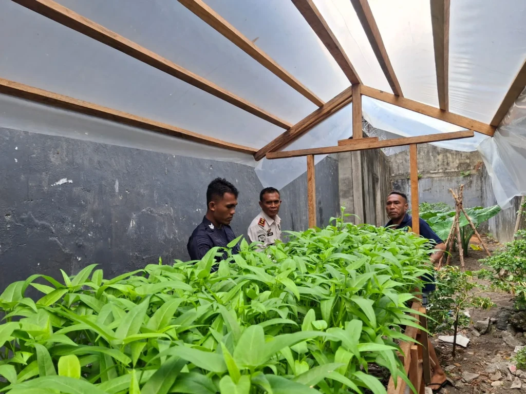 Bekali Keterampilan Hidroponik, Lapas Bandanaira Siapkan Warga Binaan Lebih Mandiri