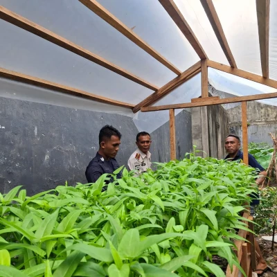 Bekali Keterampilan Hidroponik, Lapas Bandanaira Siapkan Warga Binaan Lebih Mandiri