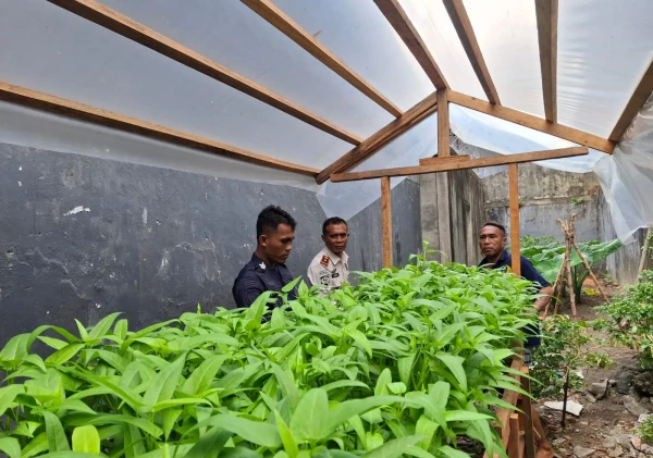 Bekali Keterampilan Hidroponik, Lapas Bandanaira Siapkan Warga Binaan Lebih Mandiri
