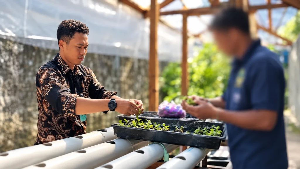 Semai Keterampilan, Warga Binaan Lapas Bandanaira Budidaya Pakcoy dan Selada Hidroponik di Area Brandgang