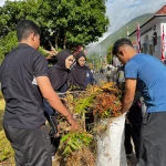 Sambut HUT ke