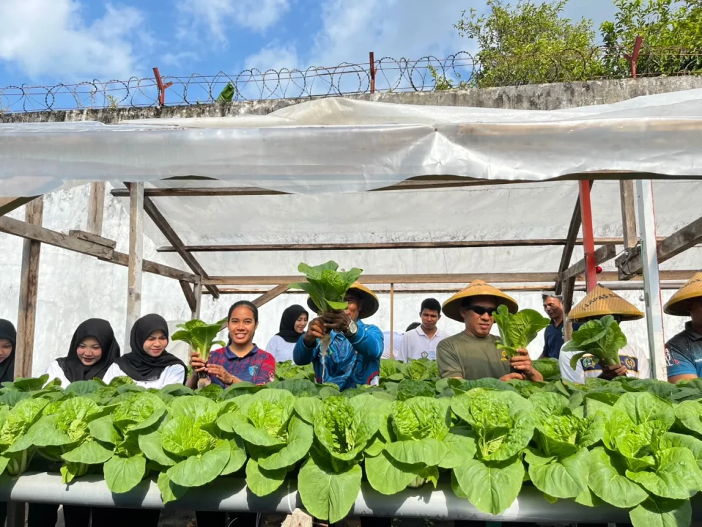 Panen 25 Ikat Sakata, Lapas Bandanaira Perkuat Ketahanan Pangan