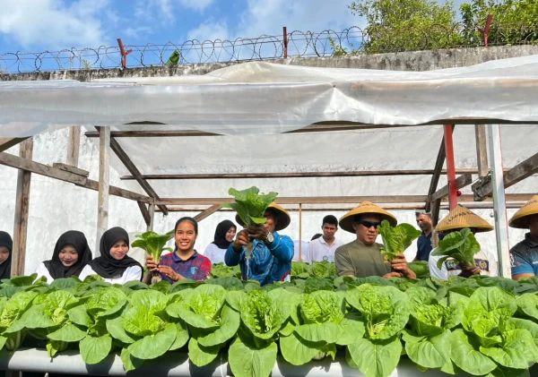 Panen 25 Ikat Sakata, Lapas Bandanaira Perkuat Ketahanan Pangan