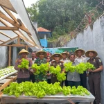 Panen Selada dan Sawi Hijau, Lapas Bandanaira Buktikan Lahan Terbatas Bisa Jadi Sumber Pangan