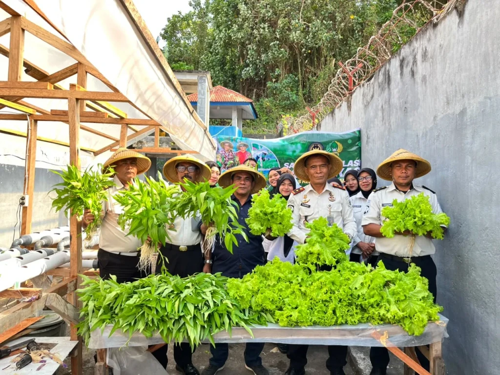 Panen 35 Ikat Sayuran Hidroponik, Lapas Bandanaira Perkuat Program Ketahanan Pangan