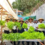 Panen 35 Ikat Sayuran Hidroponik, Lapas Bandanaira Perkuat Program Ketahanan Pangan