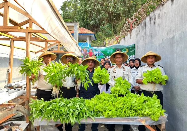 Panen 35 Ikat Sayuran Hidroponik, Lapas Bandanaira Perkuat Program Ketahanan Pangan