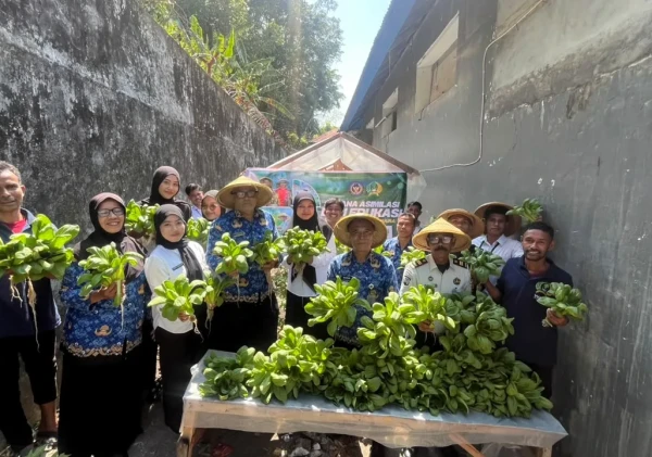 Produktif dan Berkelanjutan, Lapas Bandanaira Kembali Panen Sayuran Hidroponik