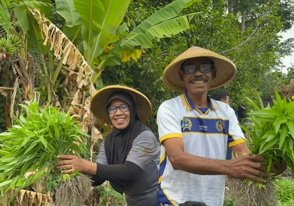 Kemarau Panjang Tak Surutkan Semangat, Lapas Bandanaira Panen 50 Ikat Kangkung dari Lahan SAE