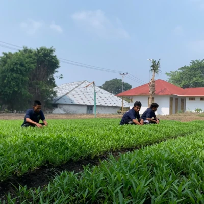 Distrik Banten News