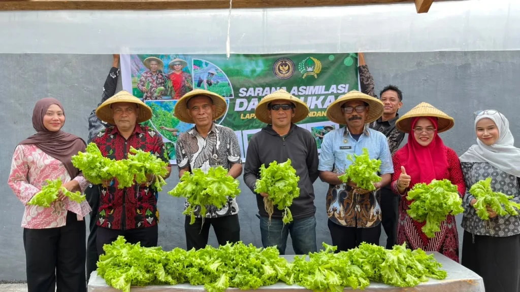 Panen Sawi dan Selada Hidroponik, Lapas Bandanaira Perkuat Ketahanan Pangan