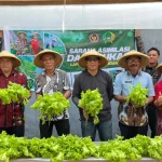 Panen Sawi dan Selada Hidroponik, Lapas Bandanaira Perkuat Ketahanan Pangan