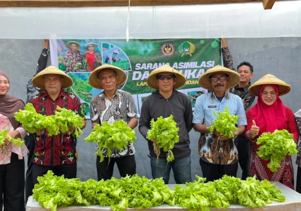 Panen Sawi dan Selada Hidroponik, Lapas Bandanaira Perkuat Ketahanan Pangan