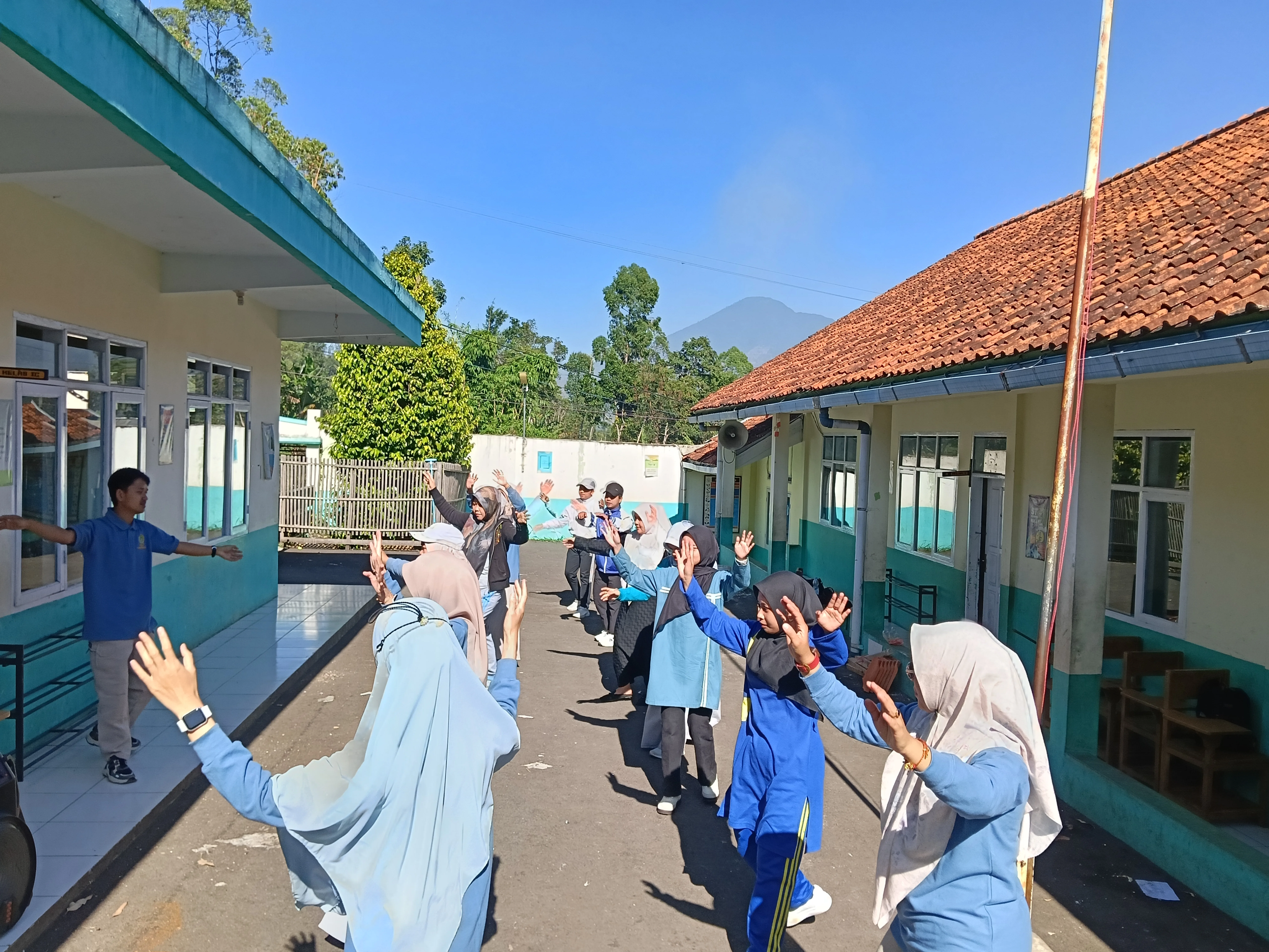 312254.webp