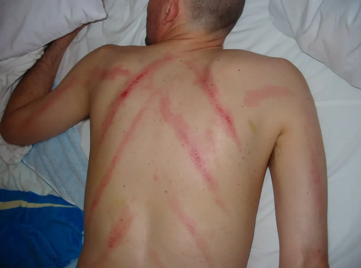 img-20260928-wa0010.webp