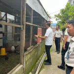 Kepala Lapas Medan Tinjau Menyeluruh Program Ketahanan Pangan Warga Binaan