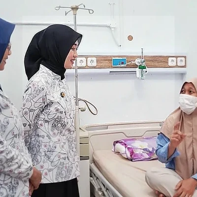 Wagub Jihan Nurlela Tegaskan Komitmen Pemprov Lampung Perkuat Dukungan Pasien Kanker