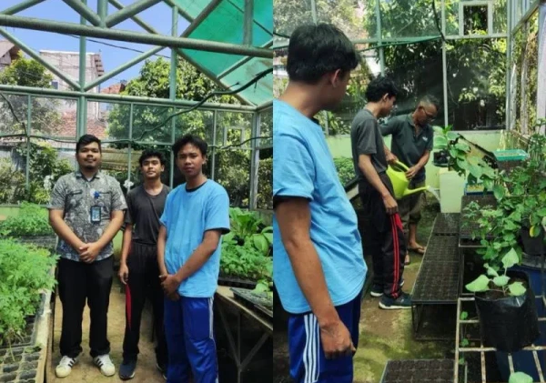 Klien Anak Bapas Jakarta Selatan Ikuti Pelatihan Penyemaian Cabai di Ragunan