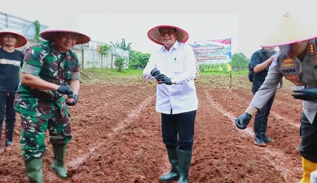 Bupati Tangerang dan Forkopimda Tanam Jagung Hibrida Perkuat Ketahanan Pangan