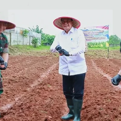 Bupati Tangerang dan Forkopimda Tanam Jagung Hibrida Perkuat Ketahanan Pangan