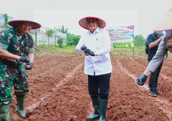 Bupati Tangerang dan Forkopimda Tanam Jagung Hibrida Perkuat Ketahanan Pangan