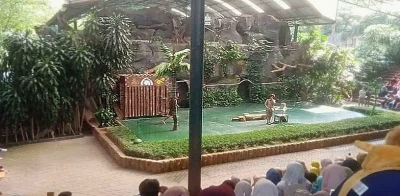 Siswa MTsN 4 Bantul Saksikan Atraksi Satwa di Taman Safari Prigen
