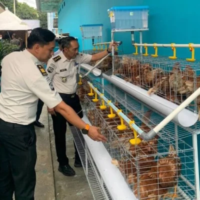 Lapas Kelas I Bandar Lampung Kembangkan Peternakan Ayam Petelur untuk UMKM Warga Binaan