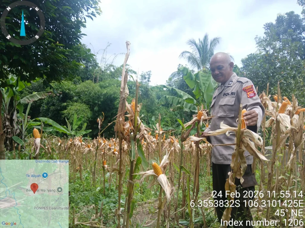 Pelaku Pencabulan Remaja di Jayapura Ditangkap, Terancam 9 Tahun Penjara