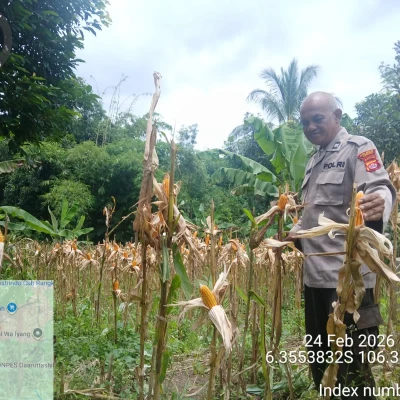 Pelaku Pencabulan Remaja di Jayapura Ditangkap, Terancam 9 Tahun Penjara