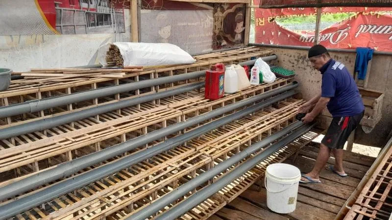 Lapas Nirbaya Siapkan Kandang Ayam untuk Tingkatkan Populasi dan Produksi