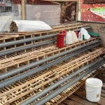 Lapas Nirbaya Siapkan Kandang Ayam untuk Tingkatkan Populasi dan Produksi