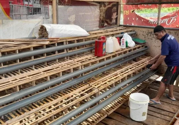 Lapas Nirbaya Siapkan Kandang Ayam untuk Tingkatkan Populasi dan Produksi