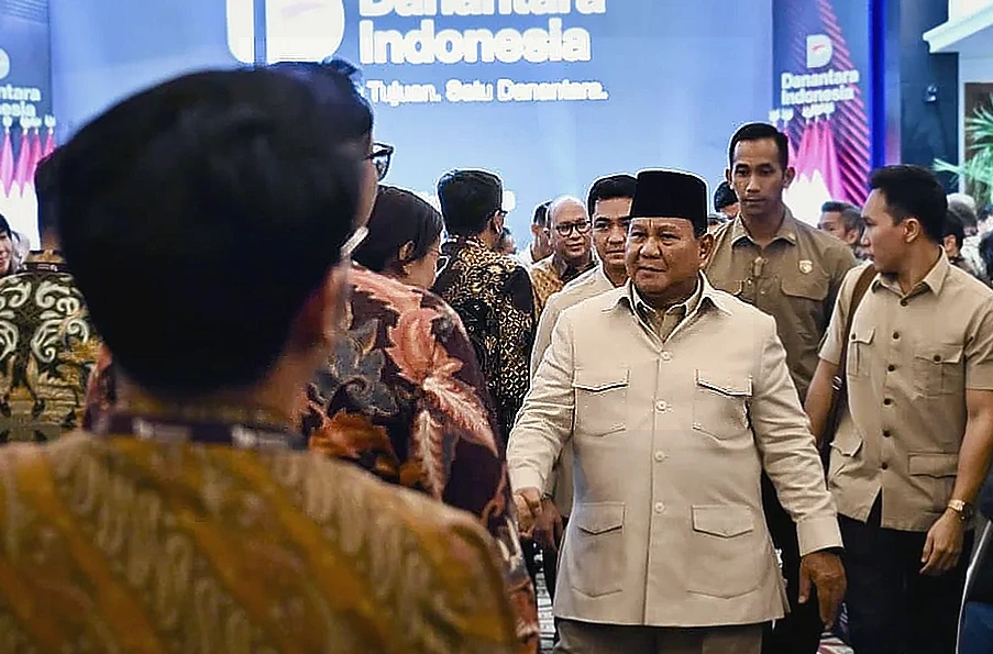 Presiden Prabowo Targetkan 100 GW Tenaga Surya, Optimalkan Geotermal