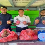Lapas Piru Panen 14,5 Kg Buah Naga, Bukti Kemandirian Warga Binaan