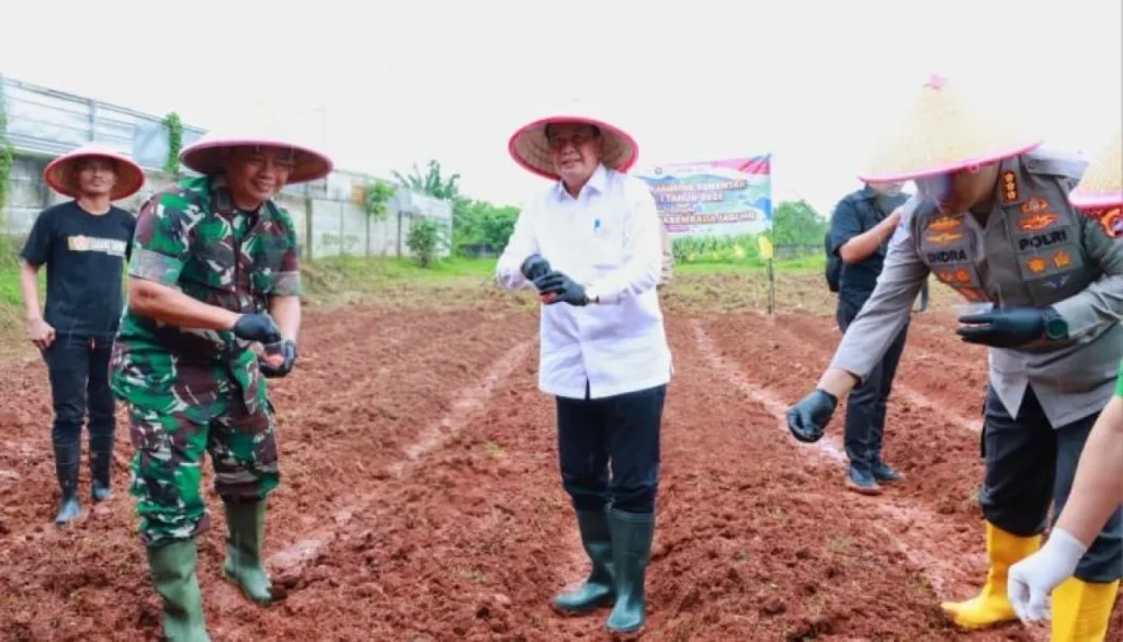 Bupati Tangerang dan Forkopimda Tanam Jagung Hibrida Perkuat Ketahanan Pangan