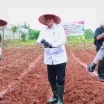 Bupati Tangerang dan Forkopimda Tanam Jagung Hibrida Perkuat Ketahanan Pangan