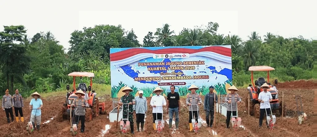 Polda Banten Tanam Jagung Serentak di Serang, Dukung Swasembada Pangan Nasional