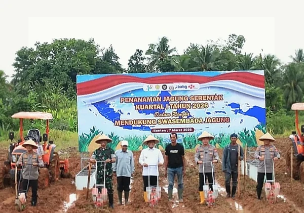 Polda Banten Tanam Jagung Serentak di Serang, Dukung Swasembada Pangan Nasional