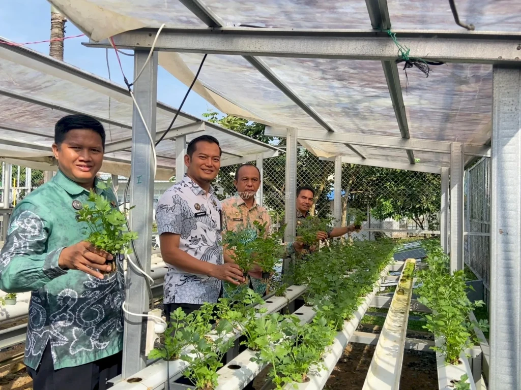 Lapas Tanjung Panen 200 Ikat Seledri, Bekali Warga Binaan Keterampilan Pangan