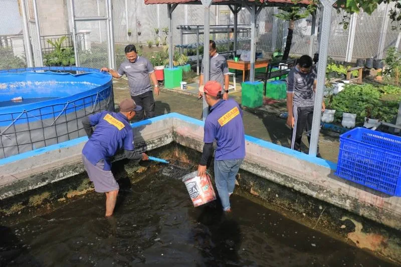 Lapas Pemuda Madiun Panen 46 Kg Lele, Bekali Warga Binaan Keterampilan Usaha