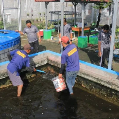 Lapas Pemuda Madiun Panen 46 Kg Lele, Bekali Warga Binaan Keterampilan Usaha