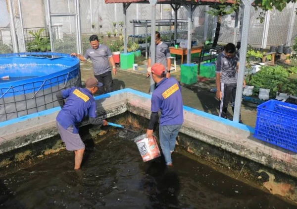 Lapas Pemuda Madiun Panen 46 Kg Lele, Bekali Warga Binaan Keterampilan Usaha