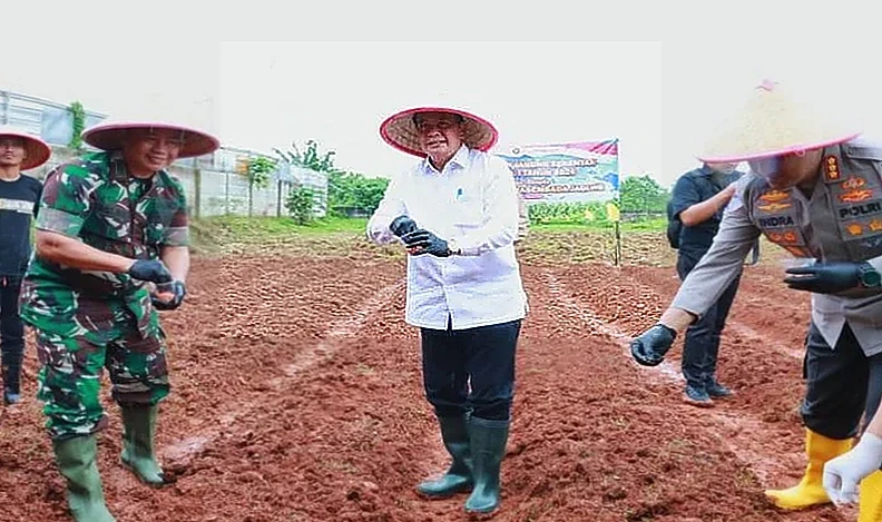 Bupati Tangerang Tanam Jagung Hibrida, Antisipasi Krisis Pangan Global