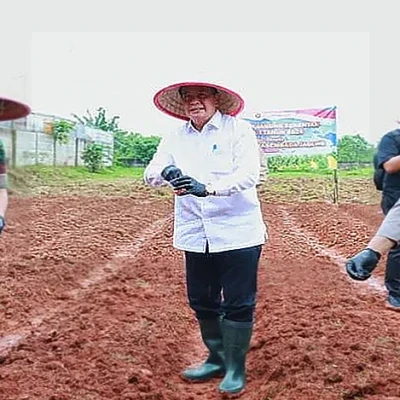 Bupati Tangerang Tanam Jagung Hibrida, Antisipasi Krisis Pangan Global