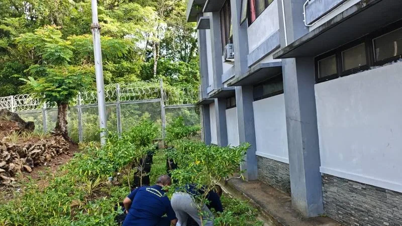 Lapas Beri Pembinaan Kemandirian WBP Lewat Perawatan Tanaman