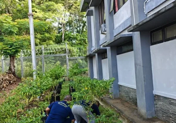Lapas Beri Pembinaan Kemandirian WBP Lewat Perawatan Tanaman